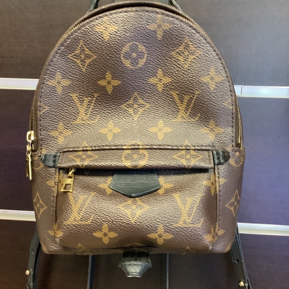Louis Vuitton Palm Spring Mini backpack